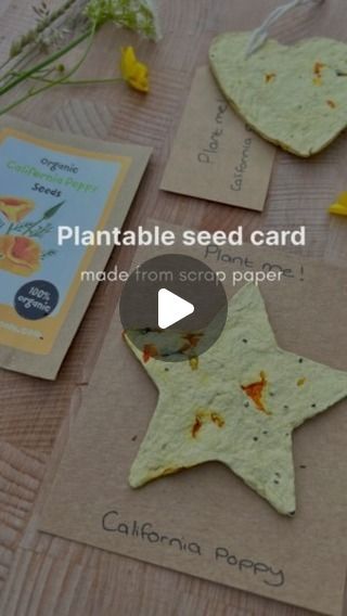 Seed Cards Plantable Diy, Plantable Paper Diy, Paper Seed Cards, Botanical Crafts, Seed Paper Diy, Handmaid Gifts, Seed Cards, Flower Seed Paper, Seeded Paper