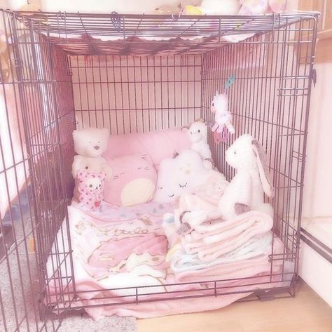 Bunny Pet Play, Kitten Space, Puppy Cage, Pet Regression, Bunny Cage, Girl Math, Puppy Room, Puppy Time, Bunny Cages