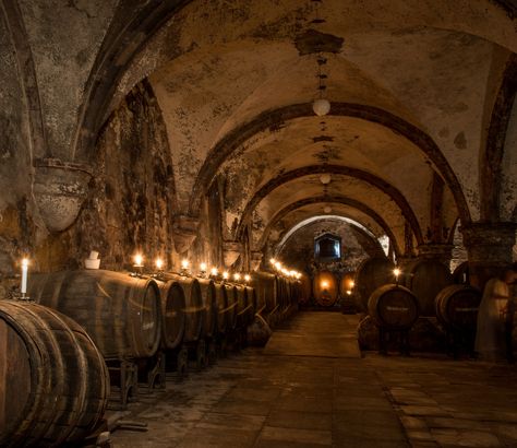 Wine cellar of Abbey Eberbach - Wine making in the Abbey Eberbach in Germany goes back almost to its foundation in the 12th century. Here candles are being lit in its historic wine cellar in preparation for a wine tasting, casting a beautiful golden light onto the ancient walls and vaulted ceiling. Barbara Mierau-Klein Ancient Wine, Wine Vault, Golden Light, Golden Lights, 12th Century, Wine Making, Vaulting, Wine Cellar, Vaulted Ceiling