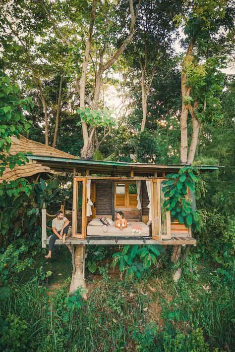 Airbnb Tree House, House In The Tropics, Dream Nature House, Tree House Glamping, Natural Tree House, Tiny Home Tree House, Tropical Tree House, Jungle House Design, Jungle House Aesthetic