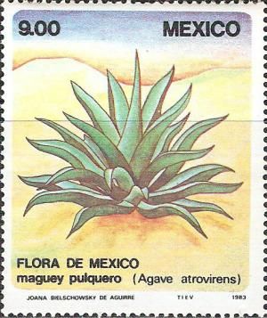 Mexico - 9.00p stamp of 1983 (#323373) | StampData Mexican Flowers, Mexican Home Decor, Mexican Home, Postage Stamp Art, Cactus Flowers, Flower Stamp, Postal Stamps, Vintage Stamps, Cactus And Succulents