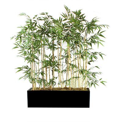 Bayou Breeze Bamboo Hedge In Planter Base Colour: Black Bamboo Hedge, Bamboo Floor, Bamboo Planter, Bamboo Stalks, Colorful Planters, Wood Planter Box, Bamboo Garden, Floor Plants, Artificial Foliage