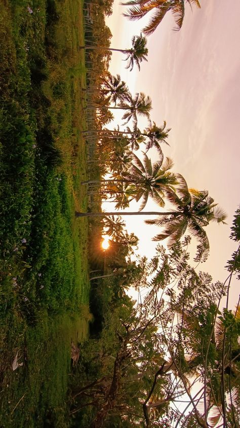 Kerala Scenery, Kerala Wallpaper, Kerala Nature Images, Aesthetic Kerala, Kerala Landscape, Kerala Aesthetic, Nature Images Hd, Pictures Of The Sun, Inspiration Portrait