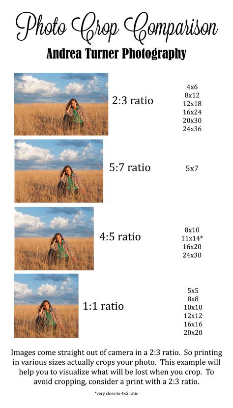 Photography Cropping Guide : I need all my clients to see this so they understand why not every photo looks good as an 8x10! Photography Cropping Guide, How To Photography, Cropping Photography, Photography Classroom, Beginner Photography Camera, Kamera Dslr, Manual Photography, Digital Photography Lessons, Relatable Comics