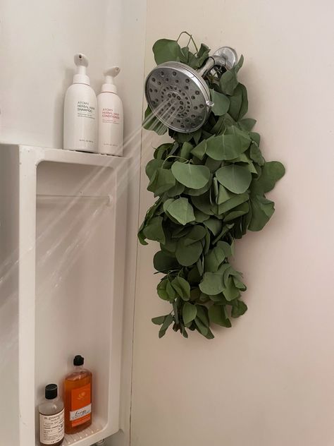 Eucalyptus Shower Head Aesthetic, Shower Vibes, Guest Bath, Shower Heads, Shower Ideas, Home Crafts, Sweet Home, Bath, Shower