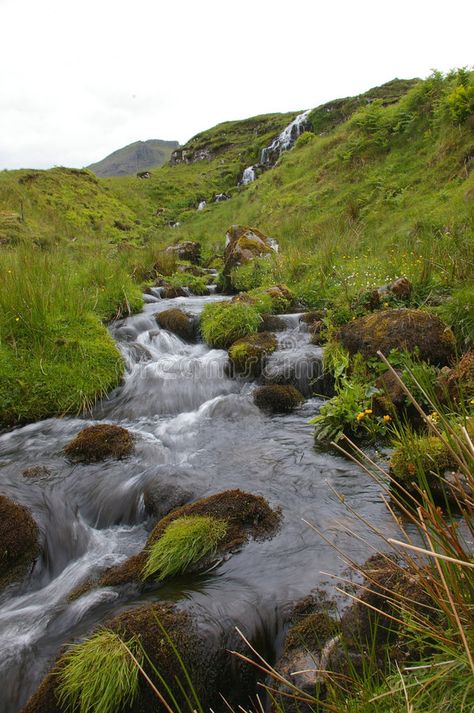 Moorland Aesthetic, Aesthetic Meadow, Stream Aesthetic, Mountain Plants, Stream Nature, Stream Landscape, Streams Of Water, Mountain Streams, Calming Nature