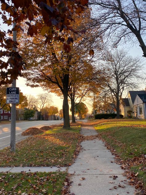 fall aesthetic, autumn, leaves falling, season, halloween, autumn aesthetic Fall Woods Aesthetic, Comfy Fall Aesthetic, Autumn Cozy Aesthetic, Halloween Autumn Aesthetic, Aesthetic Autumn Leaves, Easy Outdoor Projects, Autumn Leaves Falling, Aesthetic Stationary, Fall Szn