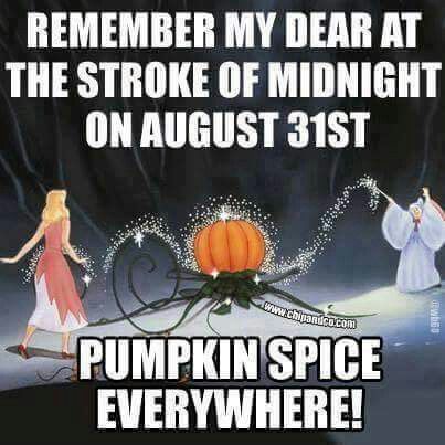 August 31 ..... At the Stroke of Midnight ~ Pumpkin Spice Everything Pun Quotes, Hate Summer, Fall Memes, Halloween Memes, Monday Memes, Autumn Quotes, Happy Fall Y'all, Disney Memes, Pics Art