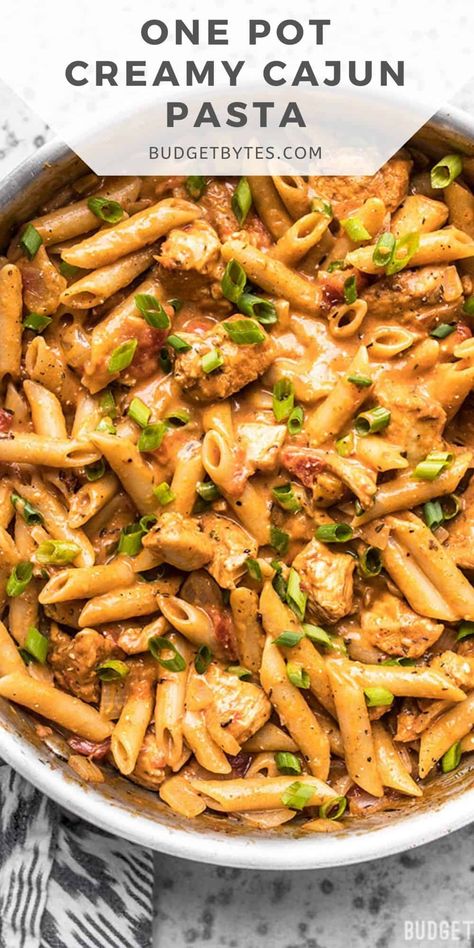 Creamy Cajun Chicken Pasta, Creamy Cajun Pasta, Creamy Cajun Chicken, Mongolian Chicken, Cajun Chicken Pasta Recipes, Beef Tartare, Cheap Family Meals, Cajun Pasta, Budget Bytes