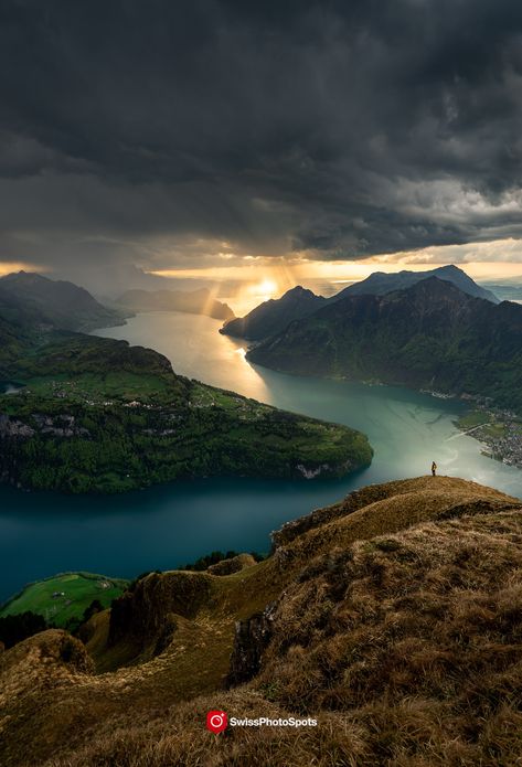 All year at the Fronalpstock – our favourite scenic hike in Switzerland Stoos Switzerland, Stanserhorn Switzerland, Saxon Switzerland National Park, Cows In Switzerland, Epesses Switzerland, Switzerland Cows Alps, Lake Lucerne, Best Sunset, Lucerne