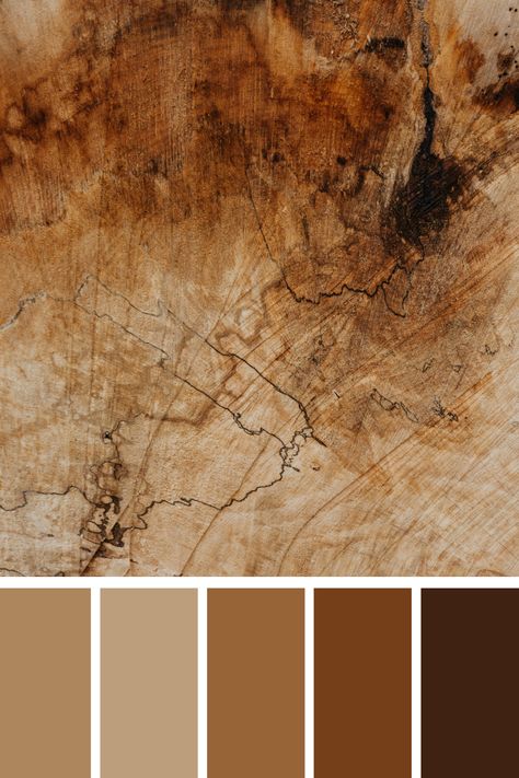 This image showcases the intricate textures of a brown and black wooden surface. The natural wood grain and contrasting dark tones create a rustic yet refined aesthetic, highlighting the beauty of organic materials and craftsmanship. Ideal for evoking warmth and sophistication in design. Brown Contrast Colour, Brown Aesthetic Palette, Natural Wood Color Palette, Nature Palette Earth Tones, Wood Colour Palette, Wooden Color Palette, Brown Mood Board, Wood Color Palette, Brown Colour Scheme