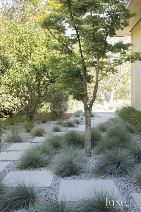 Walkway Landscaping, Side Yard Landscaping, Front Yard Design, Gravel Garden, Garden Walkway, Modern Landscape Design, Coastal Gardens, Low Maintenance Landscaping, Native Garden