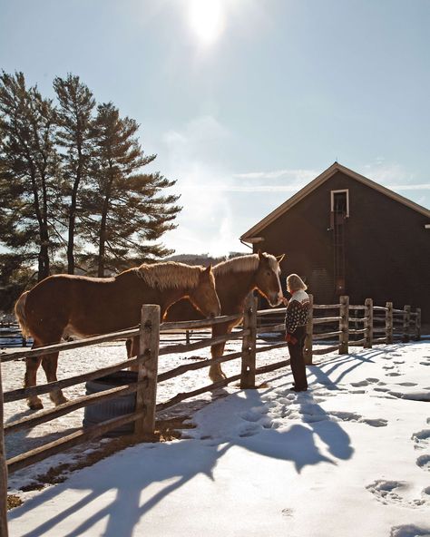 Vermont Ski Resorts, Vermont Winter, Woodstock Vt, Woodstock Vermont, England Winter, Diy Home Decor Crafts, Farm Lifestyle, Farm Photography, North Country