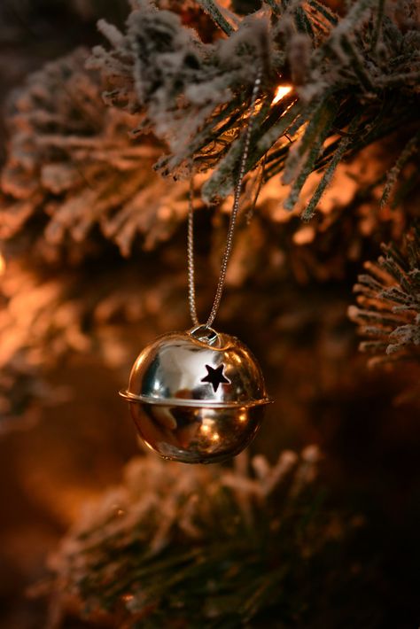 Silver Bells | A simple ornament from the Christmas tree. Ho… | Flickr Christmas Bells Aesthetic, Christmas Tree Ornaments Aesthetic, Silver Christmas Aesthetic, Silver Bells Christmas, Silver Bells, Silver Christmas, Christmas Aesthetic, Christmas Bells, Christmas Wallpaper