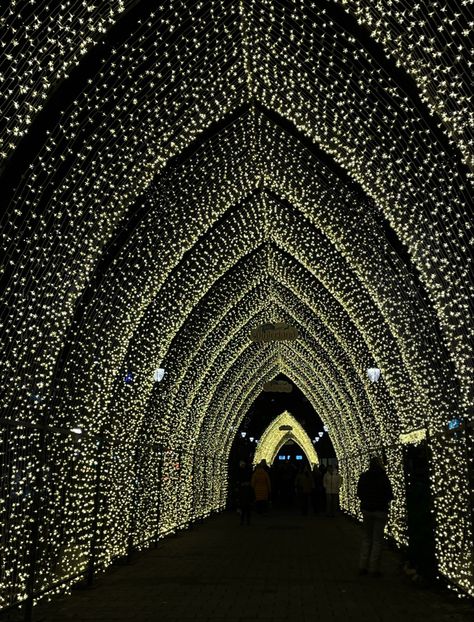 Oslo Christmas, Oslo Winter, Christmas Winter Aesthetic, Winter Aesthetic, Christmas Aesthetic, Christmas Winter, Norway, Christmas