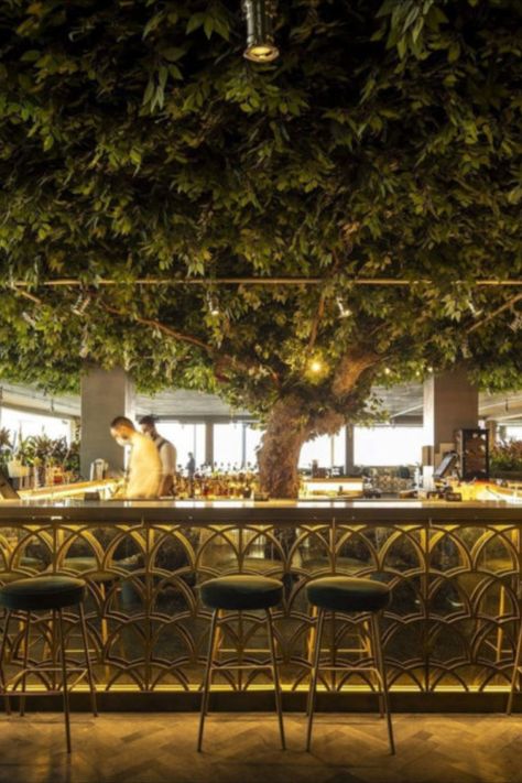 Forest Restaurant, Lisbon Restaurant, Tree Bar, Forest Cafe, Bar Deco, Central Bar, Tree Interior, Tree Restaurant, Modern Restaurant Design