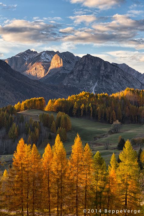 Dolomites by Beppeverge Colorful Landscape Photography, Autumn Gardening, Fall Landscapes, Autumn Mountains, Nature Autumn, Fall Garden, Autumn Scenes, Colorado Travel, Autumn Scenery