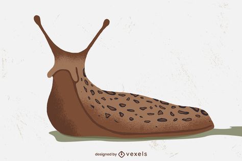 Land slug illustration design #AD , #slug, #illustration, #design, #Land Cute Slug Tattoo, Banana Slug Drawing, Cute Slug Drawing, Slug Fursona, Slug Reference, Slugs Drawing, Slug Character Design, Bug Outlines, Cute Bug Illustration