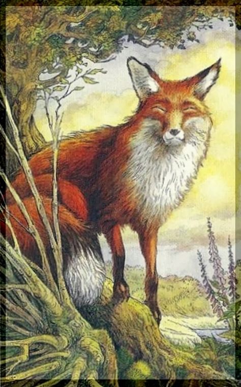 Knight of Bows from the Wildwood Tarot - Fox Wild Wood Tarot, Wildwood Tarot, Tarot The Fool, Pet Psychic, Knight Of Wands, All Tarot Cards, Tarot Gifts, Tarot Card Meanings, Tarot Card Decks