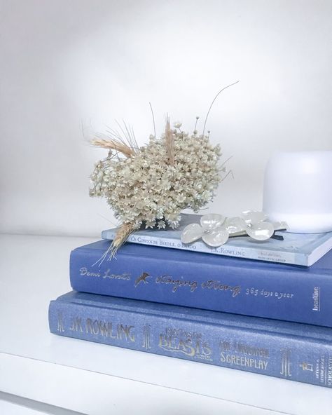 Vintage Aesthetic Blue Pictures, Blue Reading Aesthetic, Books Blue Aesthetic, Blue Aesthetic Books, Blue Spring Aesthetic, Blue And Cream Aesthetic, Blue Book Aesthetic, Blue Books Aesthetic, Asthetic Pictures Blue