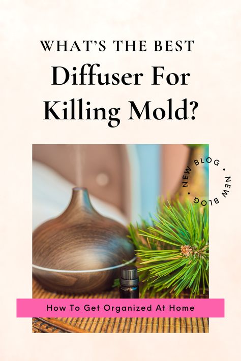 What do you use to get rid of mold spores from your home? This simple tip can prevent mold outbreaks, or at least reduce the number of potential outbreaks in your home. Essential Oils For Mold Diffuser, How To Get Rid Of Mold Smell In House, How To Get Rid Of Mold In House, Get Rid Of Mold Smell, Getting Rid Of Mold, Essential Ouls, Young Living Diffuser Recipes, Best Oil Diffuser, Kill Mold