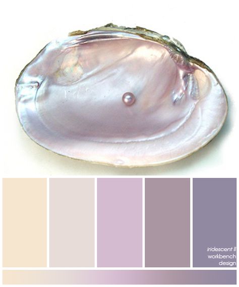 inspiration photo in the "iridescent rooms" board.  Love this shell and color pallet Aesthetic Interior Design, Color Schemes Colour Palettes, Inspiration Photo, Color Palette Design, Color Balance, Color Inspo, Colour Board, Oyster Shell, Colour Schemes