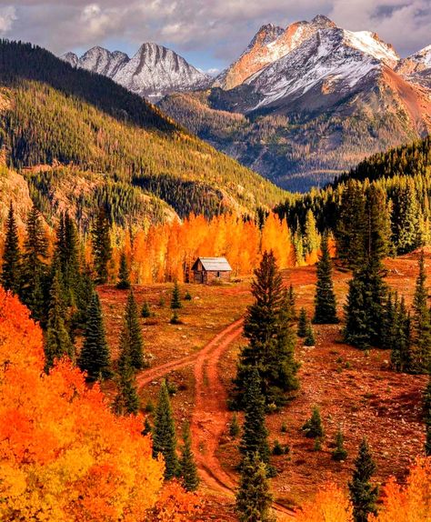 Colorado Usa, Autumn Scenes, Autumn Scenery, Travel Nature, Autumn Landscape, Autumn Cozy, Autumn Aesthetic, Fall Wallpaper, Usa Travel