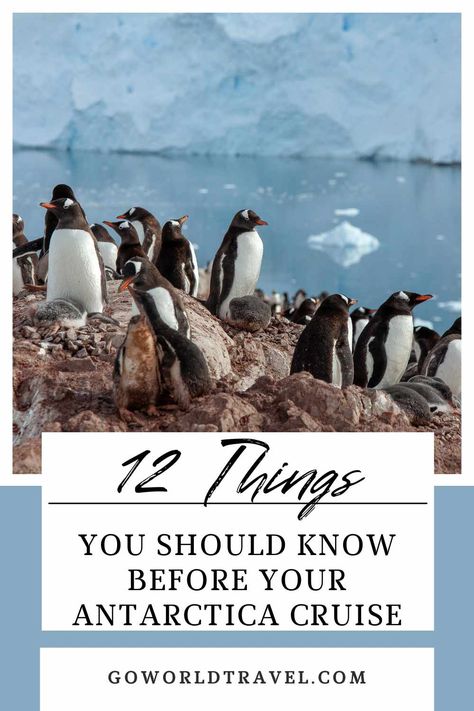 Antarctica Antarctica Cruise Packing List, Antarctica Trip, Travel Antarctica, Canon R7, Antarctica Expedition, Cruise Wardrobe, Antarctica Cruise, Antarctica Travel, Best Cruise Lines