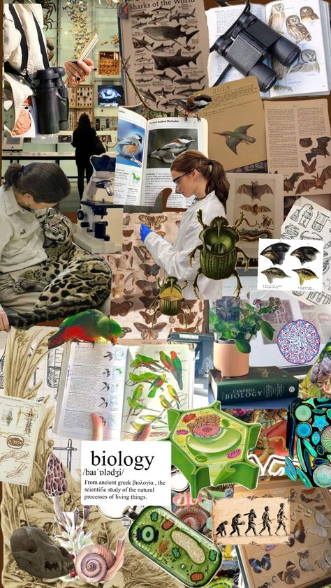 #naturalistcollage #collage #biology #biologystudent #biologyaesthetic #biologyshuffle #student #studentcore #science Biological Sciences Wallpaper, Marine Biology Collage, Science Students Aesthetic, Biological Sciences Aesthetic, Biology Moodboard, Bio Student Aesthetic, Science Aesthetic Biology, Scientist Aesthetic Biology, Science Wallpaper Biology Aesthetic