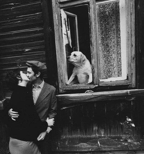 Roberto d'Cimbro on Twitter: "© Robert Doisneau. https://t.co/mBNpCJiV0U" / Twitter Willy Ronis, Fabian Perez, Saul Leiter, Edward Weston, Robert Doisneau, Henri Cartier Bresson, Vivian Maier, French Photographers, Man Ray