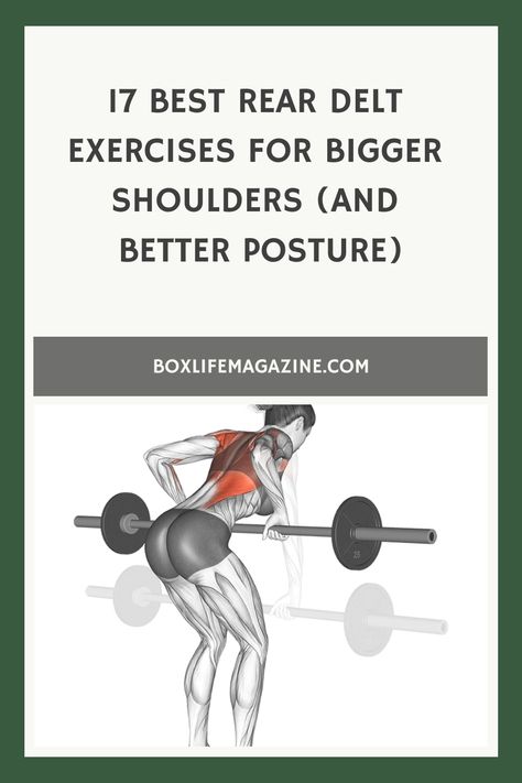 17 Best Rear Delt Exercises For Bigger Shoulders (And Better Posture) Posterior Deltoid Workout, Back Deltoid Workout, Posterior Deltoid Exercises, Rear Deltoid Exercises, Delt Exercises, Rear Delt Exercises, Bigger Shoulders, Strengthen Shoulders, Deltoid Workout