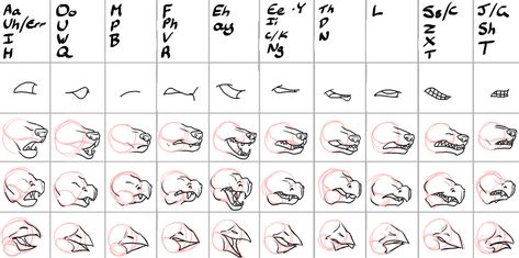 Mouth Reference, Mouth Animation, 3d Reference, Cat Anatomy, Mouth Drawing, Animation Tutorial, Viria, Lip Sync, Animation Reference