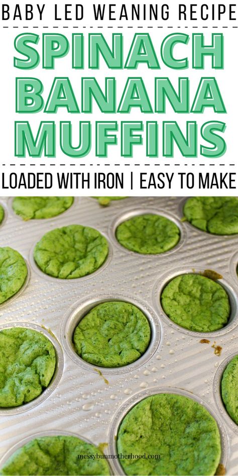 spinach banana muffins in muffin tray Healthy Snacks For 10 Month Old, Baby Led Weaning Banana Recipes, Baby Led Weaning Muffins Healthy, Spinach Muffins For Baby, Baby Finger Foods 9 Months, Baby Muffin Recipe, Easy Blw Meals, Blw Recipes 6 Months, Baby Led Weaning 6 Months