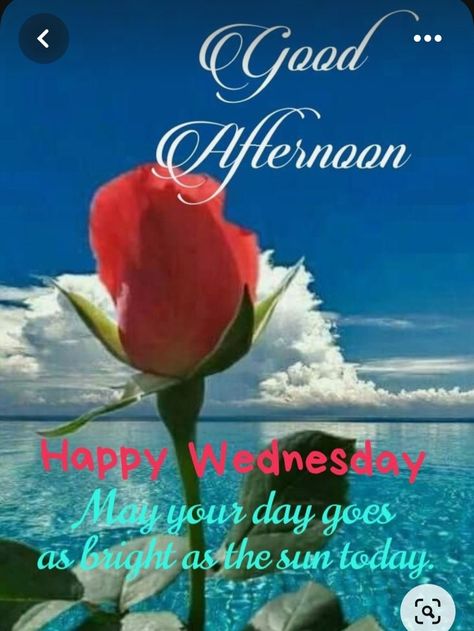 Wednesday Afternoon Greetings, Good Afternoon Happy Wednesday, Wednesday Afternoon Blessings, Good Afternoon Wednesday, Happy Wednesday Afternoon, Afternoon Messages, Afternoon Greetings, Good Wednesday, Good Afternoon Quotes