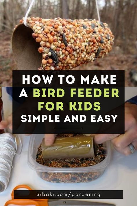 Animal Week Crafts, Handmade Bird Feeders, Animal Summer Camp Activities, Animal Week Activities, Nature Week Activities, Pinecone Bird Feeder, Make Bird Feeders, Fun Spring Activities, Bird Feeders For Kids To Make