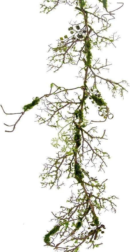 Amazon.com: BD Crafts Artificial Mossy Vine and Branches (53in Mossy Garland) : Home & Kitchen Branch Garland, Vine And Branches, Artificial Branches, Home Kitchen, Vines