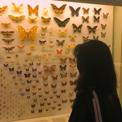 The Butterfly Garden Book Aesthetic, Bug Girl Aesthetic, Real Butterfly Aesthetic, Social Butterfly Aesthetic, Butterfly Girl Aesthetic, Insects Aesthetic, Bug Aesthetic, Aesthetics List, Sofia Smith