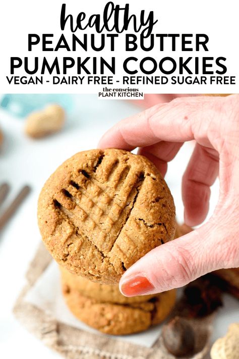 Peanut Butter Pumpkin Cookies, Pumpkin Peanut Butter Cookies, Pumpkin Cookies Vegan, Pb Desserts, Healthy Pumpkin Cookies, Morning Snacks, Real Pumpkin Puree, Conscious Plant Kitchen, Stewed Apples