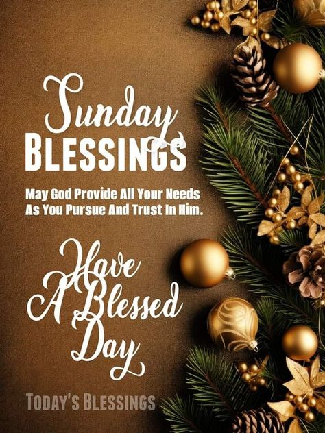 December Wishes, Good Morning Happy Weekend, Weekly Blessings, A Blessed Sunday, God Blessings, Have A Blessed Sunday, Sunday Blessings, Sunday Love, Daily Blessings