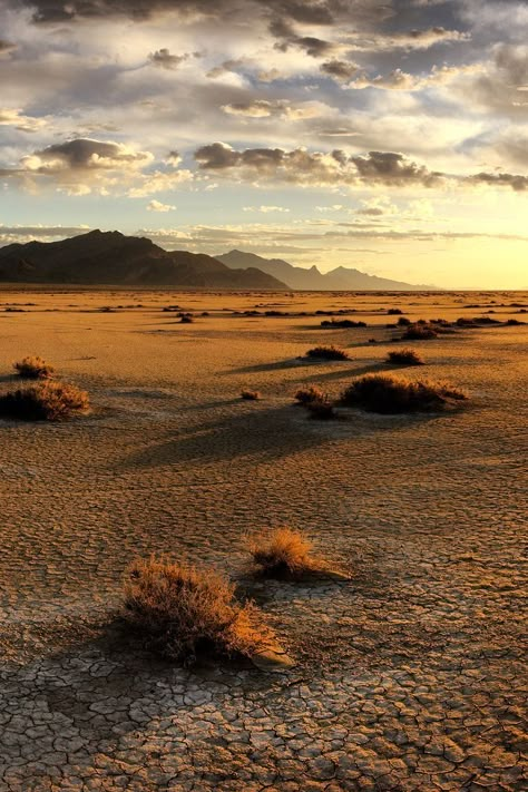 Desert Aethestic, Open Desert Landscape, Desert Images, Desert Landscape Photography, Cold Desert, Desert Plains, Tropical Desert, Desert Photos, Arid Landscape