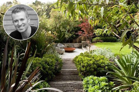 Peter Fudge's top plants to screen out your neighbours - Eco Outdoor Peter Fudge, Sustainable Garden Design, Contemporary Landscape Design, Cedar Raised Garden Beds, Australian Garden, Trends Magazine, Garden Shrubs, Fence Landscaping, Sustainable Garden