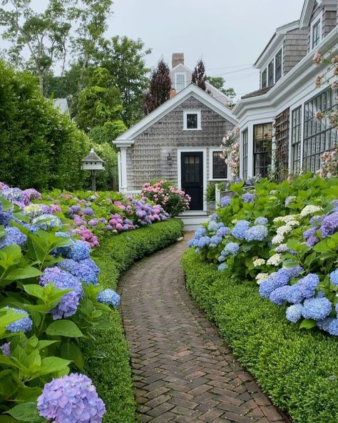 a nantucket summer on Instagram: “Start spreading the news, Hunky Dory has bloomed! 😍💙✨⠀ ⠀ ⠀ ⠀ ⠀ ⠀ ⠀ #anantucketsummer #nantucket #ack #summer #island #hydrangea #hydrangeas…” Hydrangea Landscaping, Growing Hydrangeas, Front Yard Garden Design, Hydrangea Garden, Home Landscaping, Front Yard Garden, Garden Pathway, House Landscape, Front Yard Landscaping Design