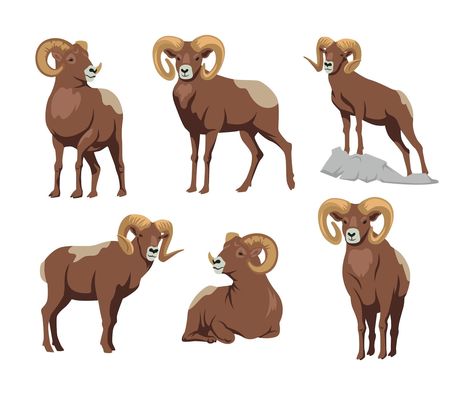 Mountain Goat Illustration, Goat Illustration, Farm With Animals, Cartoon Lamb, Cartoon Mountain, Yoga Cartoon, Sheep Drawing, Animals With Horns, Goat Logo