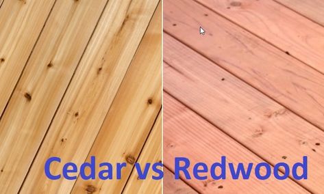 Cedar vs Redwood Redwood Deck Stain, Red Cedar Deck, Neutral Stain, Redwood Deck, Redwood Fence, Eastern White Cedar, Deck Finishes, Redwood Decking, Cedar Paneling