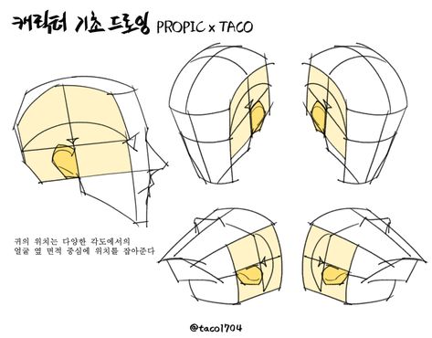 Taco Drawing, Drawing The Human Head, Head Anatomy, 얼굴 드로잉, Anatomy Tutorial, Anime Tutorial, Human Anatomy Drawing, 얼굴 그리기, Manga Drawing Tutorials