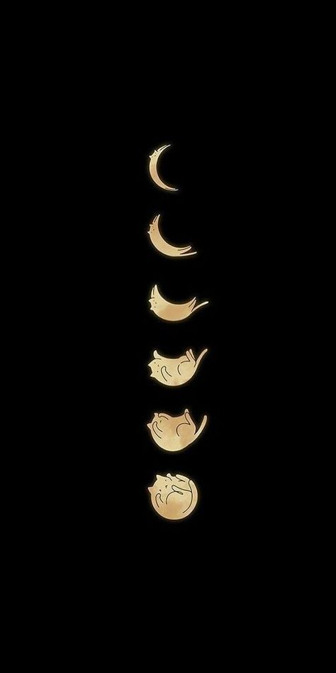 Debbie Core Aesthetic, Cute Spooky Halloween Wallpaper, Cat Phone Wallpaper Aesthetic, Cats Wallpaper Cartoon, Witchy Lockscreen Aesthetic, Cat Phone Backgrounds, Cute Cat Lockscreen, Cat Moon Wallpaper, Funny Cat Wallpaper Aesthetic