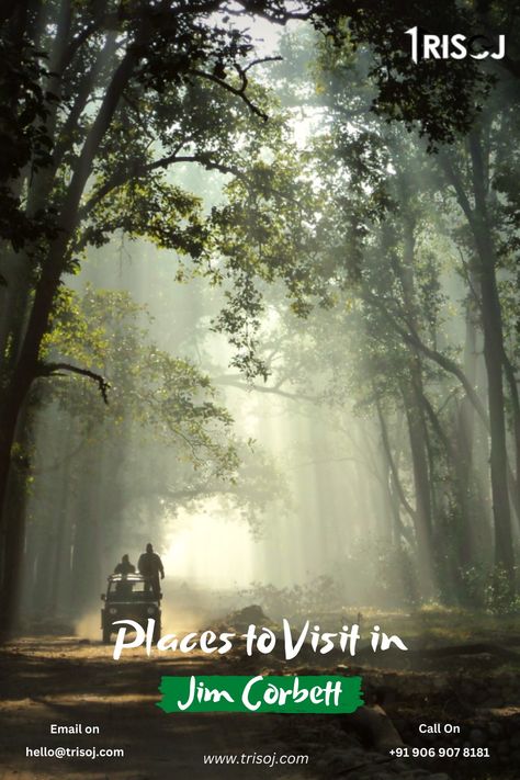 Places to Visit in Jim Corbett Jim Corbett National Park, Elephant Ride, Jim Corbett, River Rafting, Before Sunset, Park Homes, Tourist Places, Free Travel, Walking In Nature