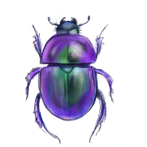 Beetles With Wings, Purple Beetle, Digital Art Ipad, Scarab Tattoo, Beetle Drawing, Egypt Crafts, Beetle Illustration, Weird Insects, Bugs Embroidery