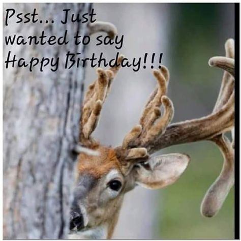 Happy Birthday Hunting, Hunting Meme, Happy Birthday Quotes For Daughter, Happy Birthday Wishes For Him, Happy Birthday Wishes Sister, Happy Birthday Wishes For A Friend, Happy Birthday For Him, Hunting Birthday, Happy Birthday Man