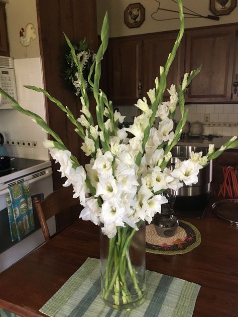 Gladiolus Wedding Centerpiece, Gladioli Flower Arrangements, Pianese Flower, Gladioli Bouquet, Gladiolus Centerpiece, Gladioli Flower, Gladiolus Flower Tattoo, Gladiolus Wedding, Gladiolus Arrangements